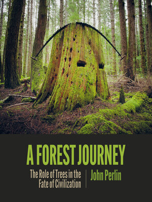 A Forest Journey - Audiobook